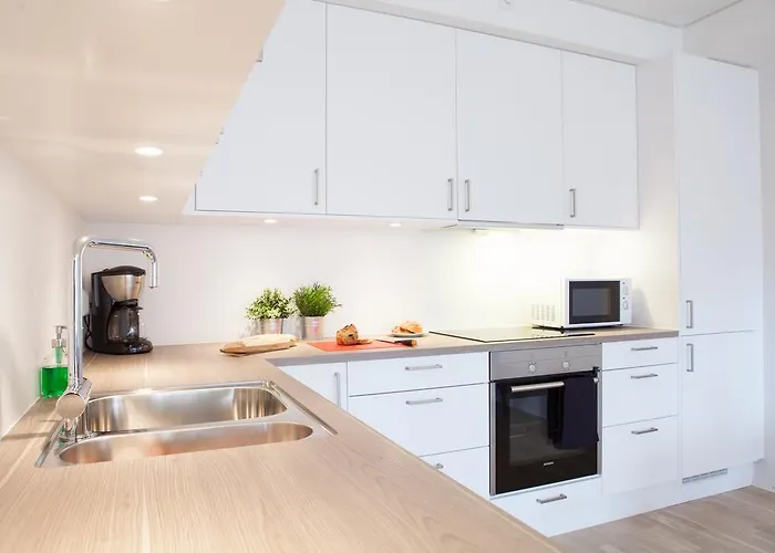 Bjorvika Apartments, Damsgard Area, Center *