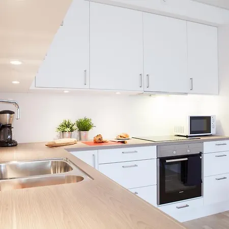 Bjorvika Apartments, Damsgard Area, Center *