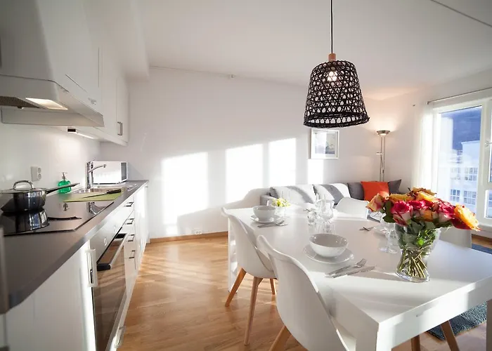 Bjorvika Apartments, Damsgard Area, Center Lejlighed *