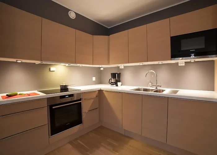 Bjorvika Apartments, Damsgard Area, Center *