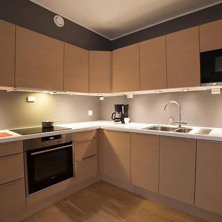 Bjorvika Apartments, Damsgard Area, Center *