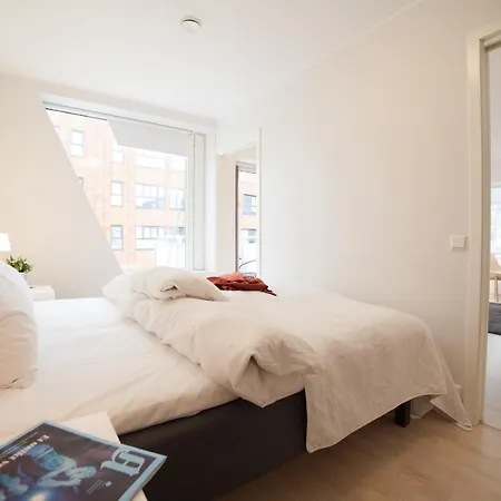 Bjorvika Apartments, Damsgard Area, Center Apartment